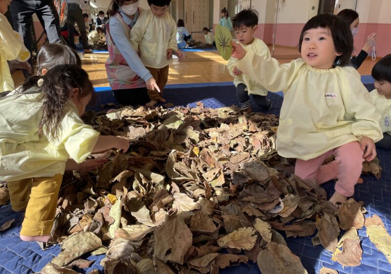 落ち葉の中から虫さんを探します。