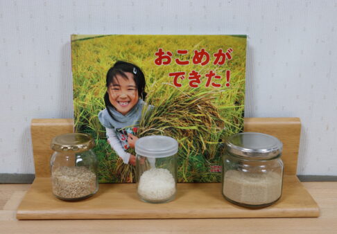 お米に触れよう