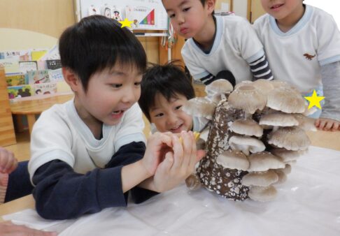 ４歳児　ちきゅう組「しいたけの収穫をしたよ！」