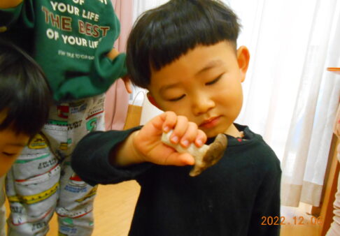 2歳児さん　エリンギ栽培
