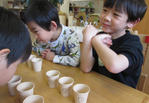 出汁の飲み比べ～５歳児クラス～