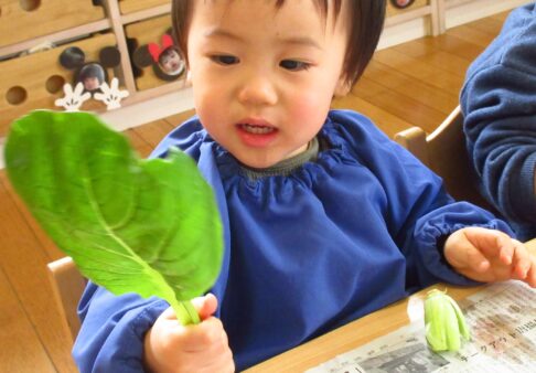１歳児　食育（野菜スタンプ）