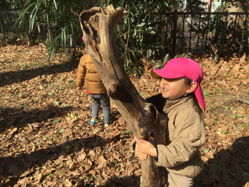 2歳児さんが公園にお散歩に行くと・・<br />
「あれ？葉っぱが無い！」「葉っぱが無くて寒そうだね。」<br />
と季節の変化を自然から感じている子どもたち。<br />
木の幹のツルツルしたりザラザラしたりする感触も楽しんでいました。