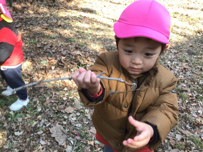 最近保育室内でも宝物探しごっこゲームに夢中になっているので、戸外でも木の実や<br />
木の枝、虫、子どもたちが宝物！と感じるものを発見するのがとても上手になりました。