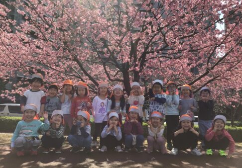 ３歳児うさぎ組　「桜を見に行ったよ」