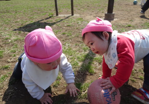 【０歳児】ボール、まてまて