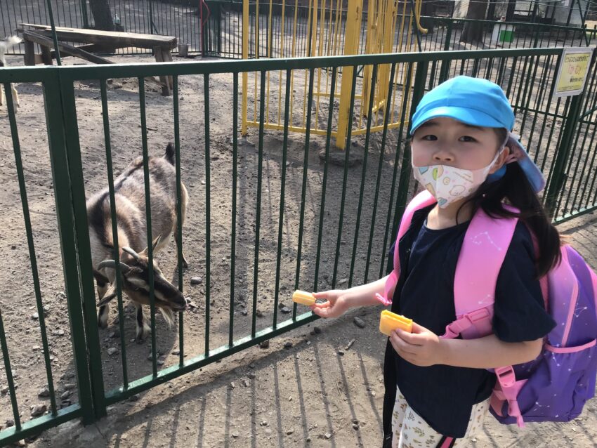 食べてくれるかなあ🥕