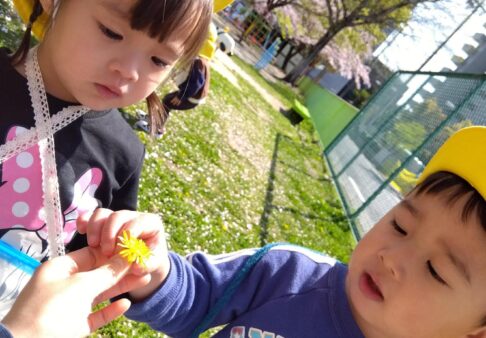 １歳児　桜木公園にお散歩🌸