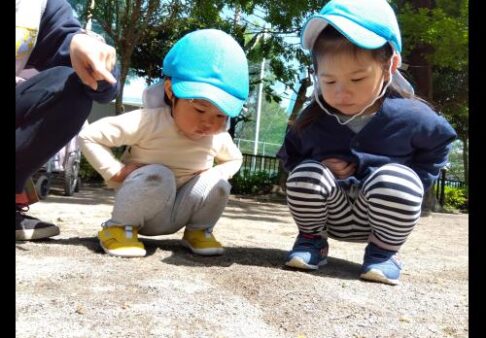 ５月園見学について