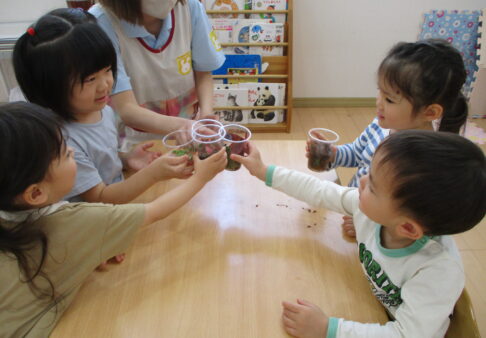 春の草花ジュース作ったよ！(３歳児)