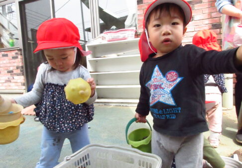1歳児　中庭