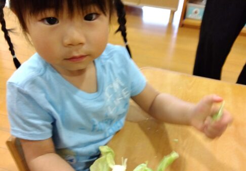 うさぎぐみ（２歳児クラス）☆４月食育
