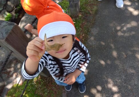 ２歳児　今週の様子