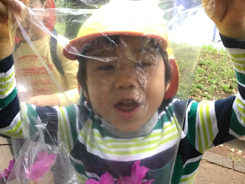 パパやママに見せるんだ!と張り切って集めた宝物。
家に持って帰ってお話している様子が目に浮かぶようです♪