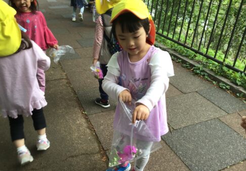 ４歳児　★集めた宝物★