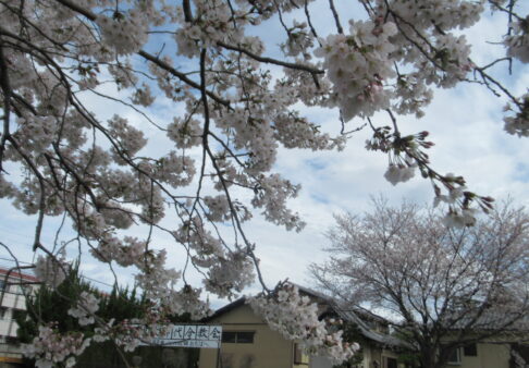 新年度が始まりました！　～０歳児～
