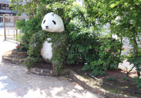 ５歳児　★上野動物園　遠足★