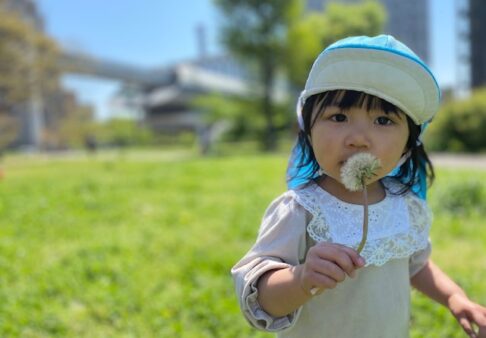 ある日の公園