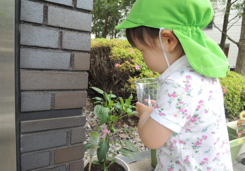 毎日お散歩前にお水をあげています！