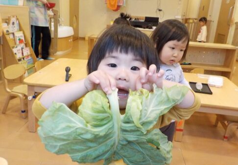 食育活動もしています！