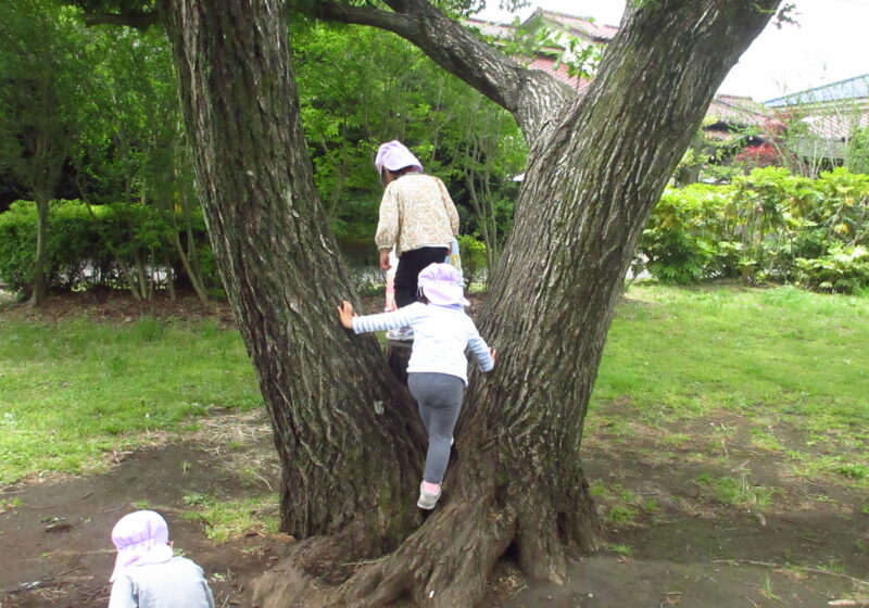 木登りもしとかないとね！