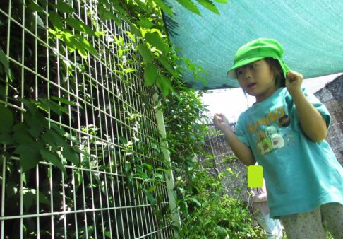４歳児　園庭
