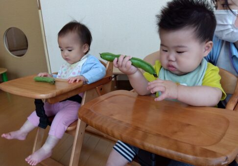食育・そらまめに触りました　～０歳児～