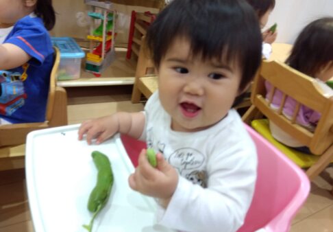 １歳児　りす組　そらまめのさやむき