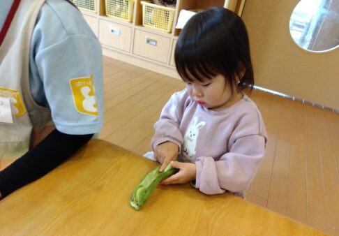 食育そらめのさやとり～1歳児～