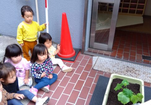 うさぎぐみ(２歳児クラス)☆５月食育