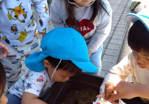 種植えに挑戦しました～２歳児～