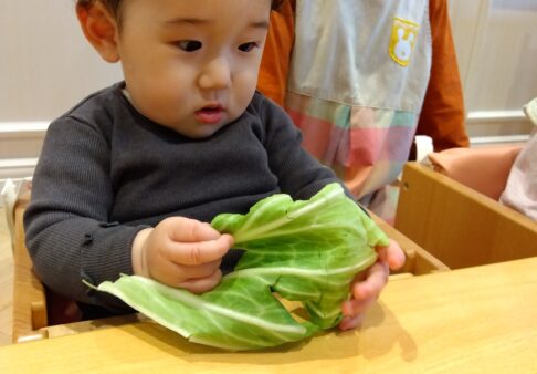 ★5月の食育★0歳児、３~５歳児クラス