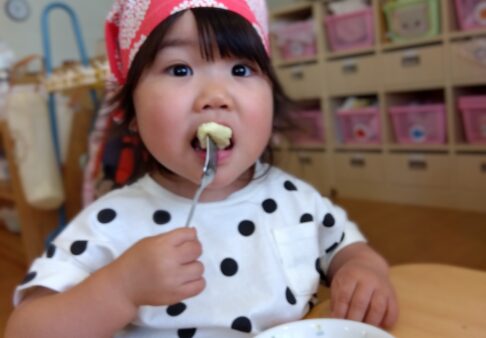 5月食育（旬のお野菜に触れる）・２歳児