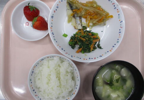 4月26日　給食