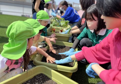 ２歳児・幼児　苗植え活動🌱