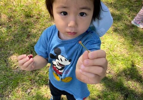 公園でたくさん遊んだ日