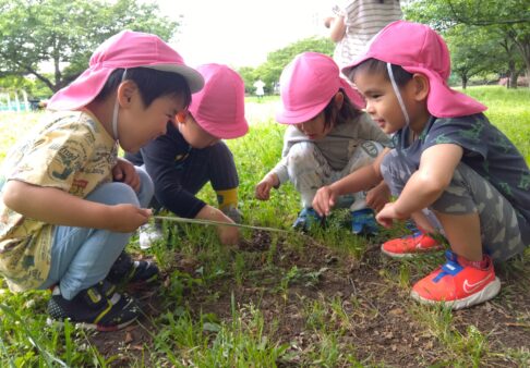 3歳　うさぎ組　「戸外活動」