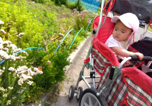 お散歩先で見つけたものは？　～0歳児～