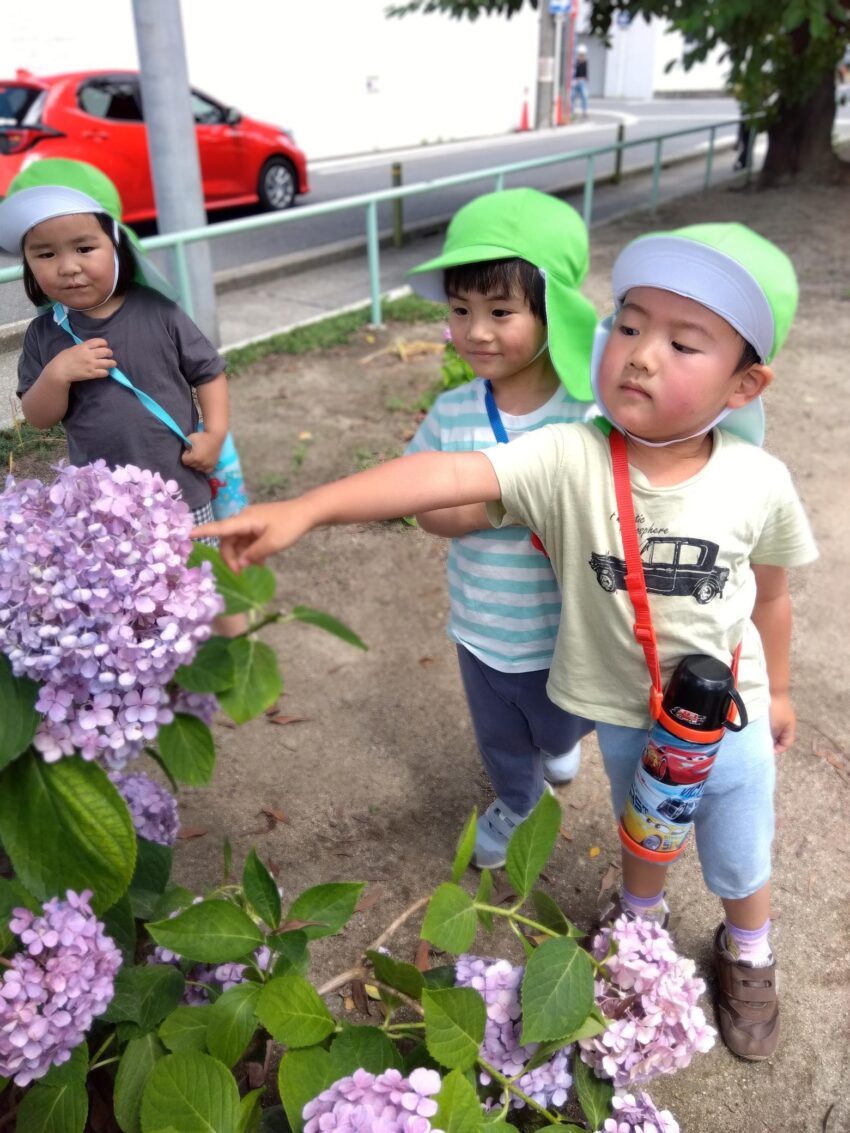 みんなで観察😆<br />
「きれいだね！」<br />
お話もはずみます🥰