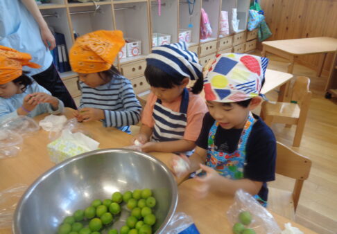 梅シロップ作り　～5歳児クラス