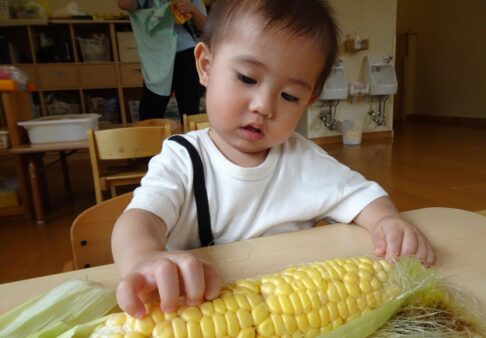 【１歳児】楽しく食べよう　～食育～