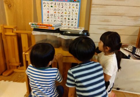 生き物とのかかわり