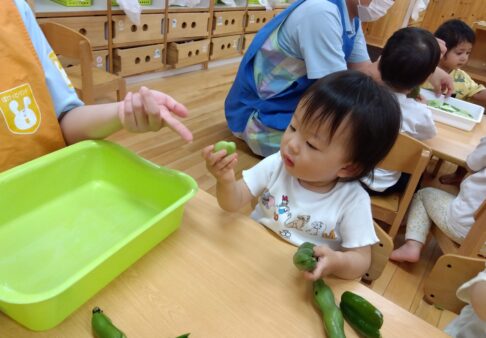 1歳児　★食育🥬キャベツ・そら豆・ピーマン🥬★