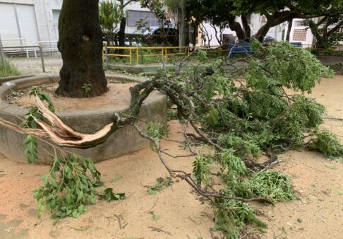 台風6号襲来！！