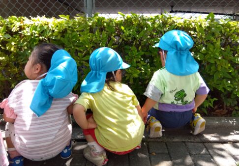 １歳児　りす組　「大好きなお散歩！！」