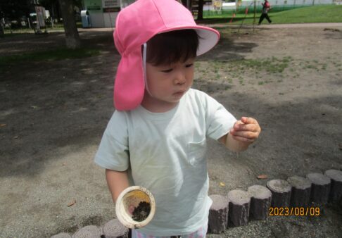 【1～2歳児】砂遊び