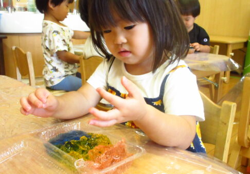 2歳児　寒天遊び