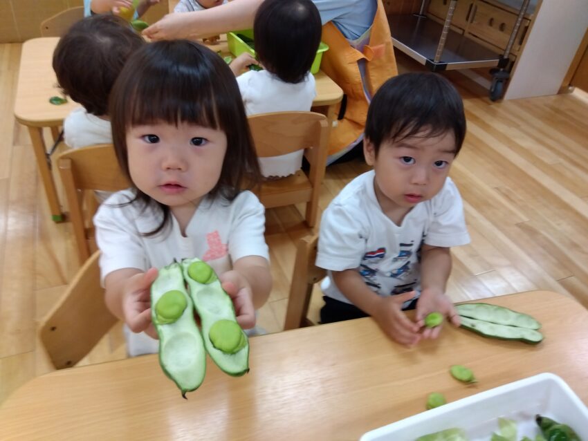 先日1歳児さんが食育でそらまめのさやから豆を出して触れる活動がありました。
活動の前に先生が読んでくれた「そらまめくんのベッド」が大人気!
ふわふわするそらまめくんのベッドを実際に触って嬉しそうな子どもたちでした。
先生が読んでいる動画を配信しますので、どうぞお子様と一緒にご覧下さい♪