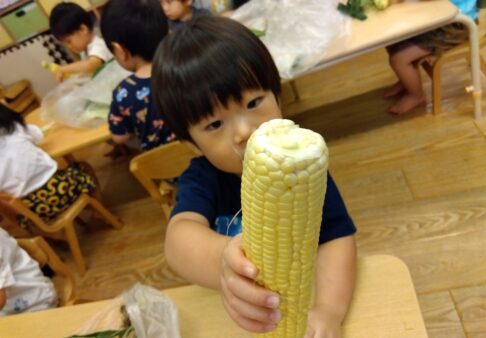 ２歳児クラス～トウモロコシの皮むきをしたよ！～