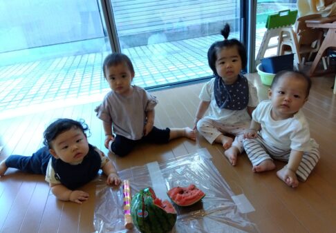 初めてのすいかわり　～０歳児～